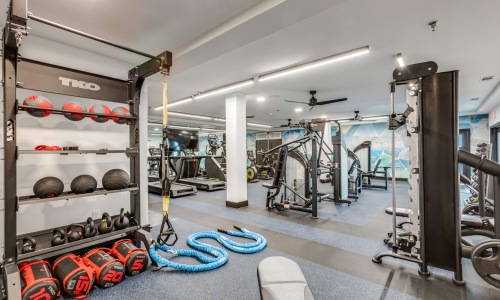 Electricity Producing Fitness Equipment Cover Image